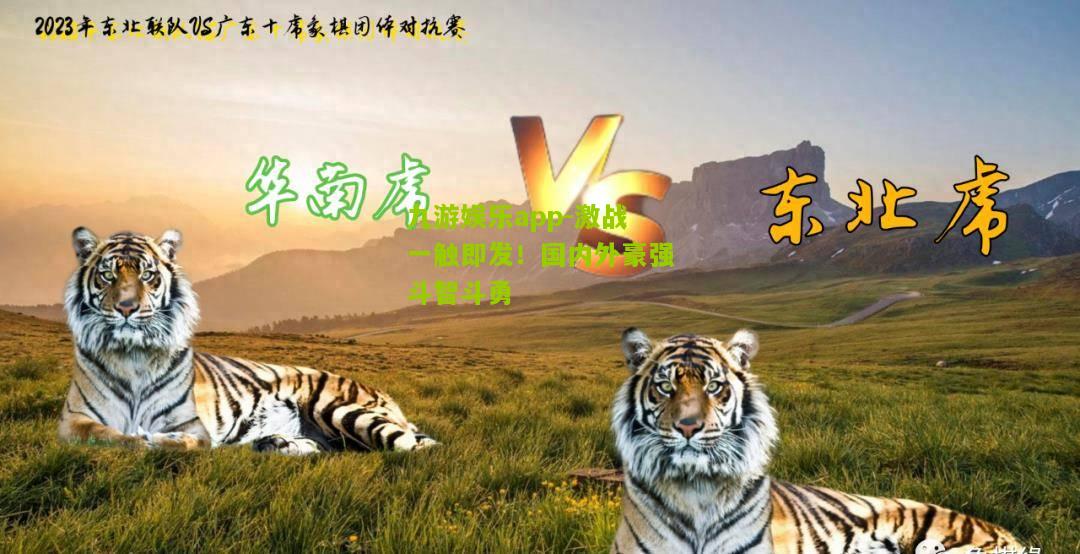 激战一触即发！国内外豪强斗智斗勇